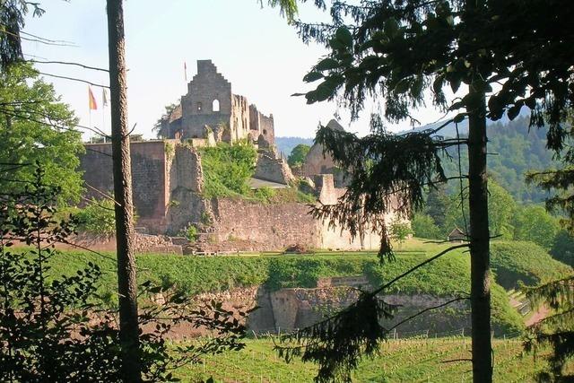 Ein Sommertag in Emmendingen: Darf’s ein wenig mehr sein?