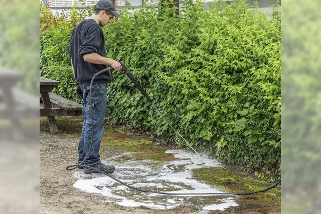 Wegen invasiver Ameisen wird Spielplatz gesperrt