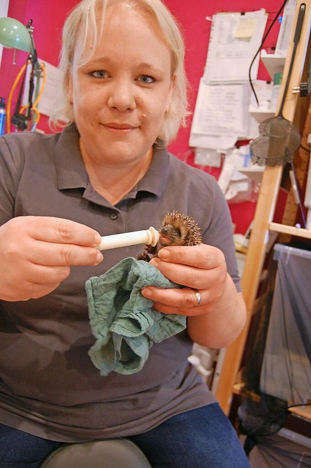 130 Gramm wiegt der kleine Igel-Baby. ...ner eigens angemischten Milchmischung.  | Foto: Hagen Spth