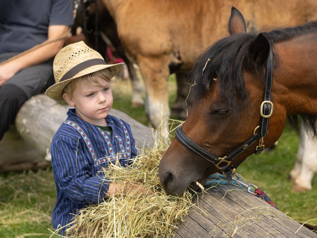 Keine Angst vor groen Tieren : der kleine Johann bei der Arbeit