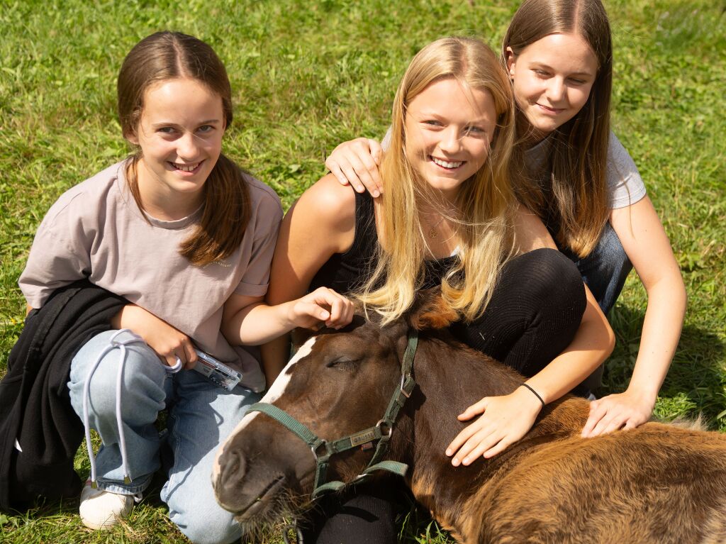 Gold - Fohlen Fritzi aus der Zucht von Karl-Heinz Reichmann aus Weilheim kam am 17. April zur Welt und hat schon viele Freunde