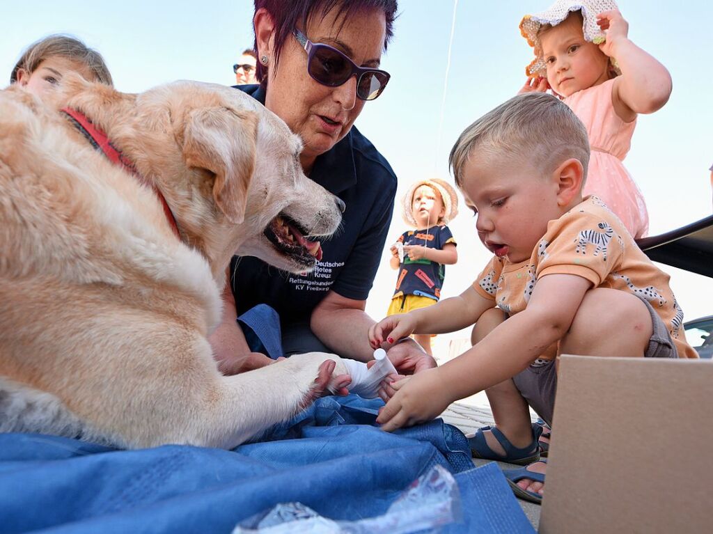 Ein Fanfest zur Saisonerffnung mit buntem Programm.Bei der Rettungshundestaffel des DRK durften Kinder dem Hund „Luke“ die Pfote verbinden