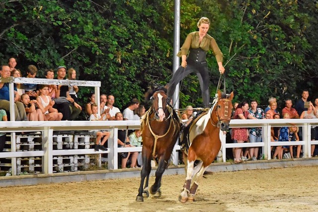 Bei der Show der Pferde zeigten die Te...Kunststcke auf dem Rcken der Pferde.  | Foto: Andrea Steinhart