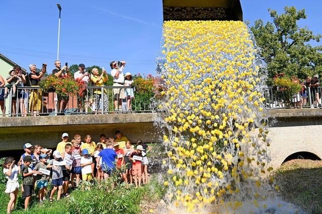 Fotos: Lorenzemrt-Hock in Ehrenstetten punktet wieder mit spannendem Entenrennen