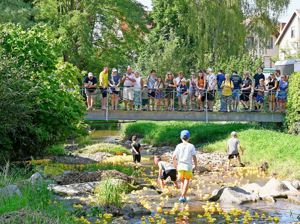 Beim Lorenzemrt-Hock in Ehrenstetten wurde gefeilscht, gefeiert und musiziert. Besonderer Hhepunkt war das traditionelle Entenrennen am Sonntag.