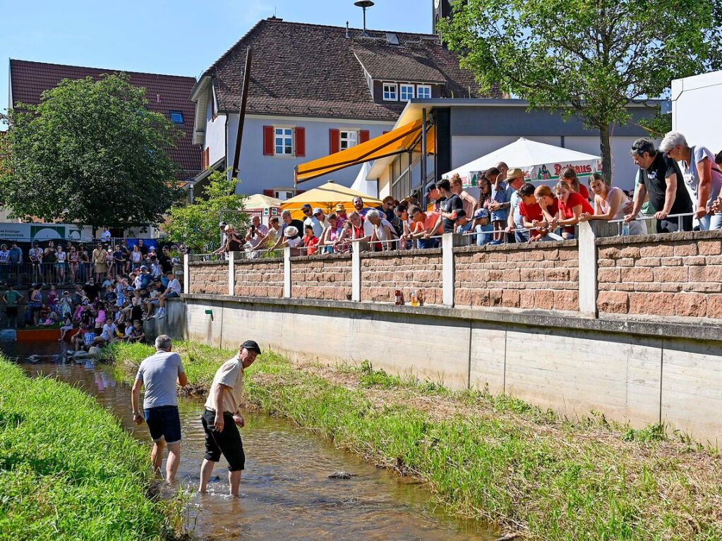 Beim Lorenzemrt-Hock in Ehrenstetten wurde gefeilscht, gefeiert und musiziert. Besonderer Hhepunkt war das traditionelle Entenrennen am Sonntag.