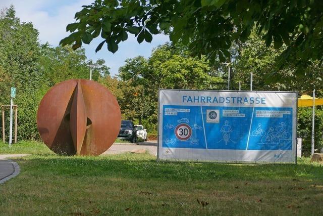 rger ber Auto-Umwege an Fahrradstrae zwischen Weil und Haltingen