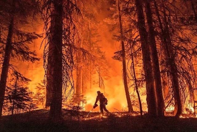 So verhalte ich mich bei Waldbrandgefahr richtig