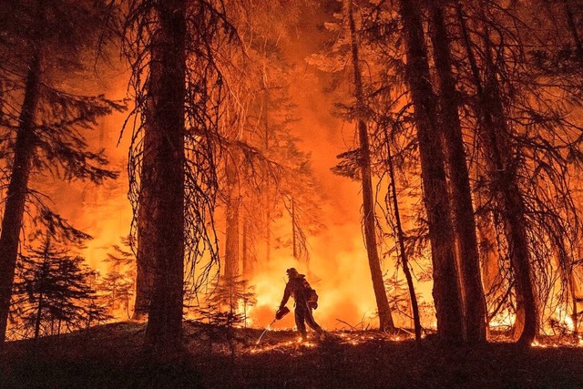 Ein Feuerwehrmann in den USA versucht,... der Nhe von Mill Creek zu bekmpfen.  | Foto: Noah Berger (dpa)