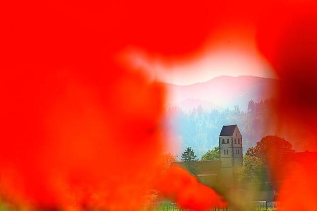 Ein Sommertag in Buggingen: Kali, Keller, Seifenkisten