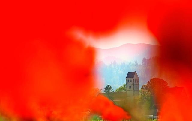 Betbergs Kirche, eingerahmt von Mohnblten  | Foto: Harald Hfler