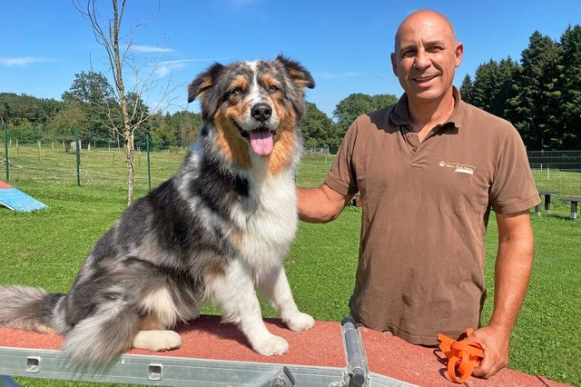 Blue freut sich auf die Arbeit mit Herrchen Marcel Germann.  | Foto: Annemarie Rsch