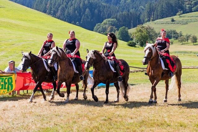 Zchter aus ganz Baden-Wrttemberg zei..., was das Schwarzwlder Kaltblut kann.  | Foto: Gabriele Zahn