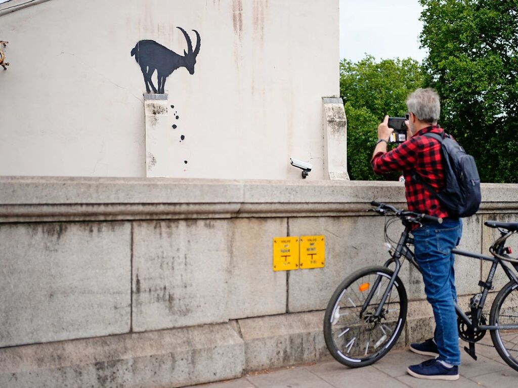 Der Steinbock ist in der Nhe der Kew Bridge im Westen Londons zu sehen – und ein beliebtes Fotomotiv fr die Menschen geworden.