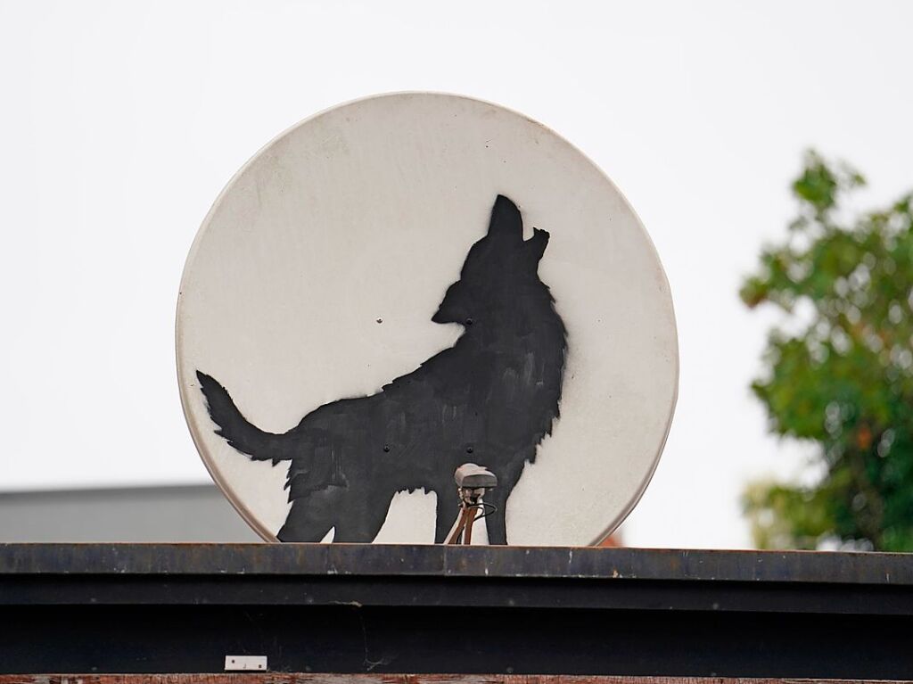 Die Satellitenschssel mit aufgesprhtem Wolf stand auf dem Dach eines Ladengeschfts in Peckham im Sdosten Londons.