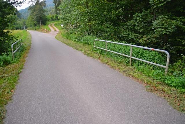 Der Gemeinderat Hasel will in Sachen Behelfsbrcke Druck aufs Landratsamt machen