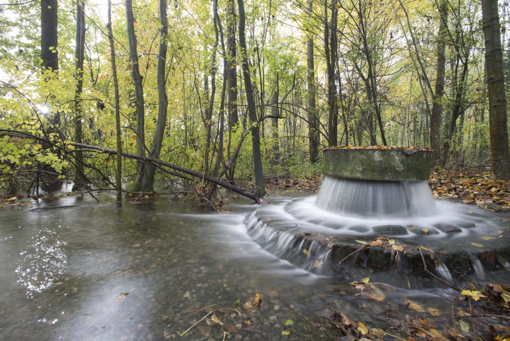 Is het drinkwaterzuiveringssysteem van Bazel verantwoordelijk voor de Loerach-Stettin-muggenepidemie? – Lorach