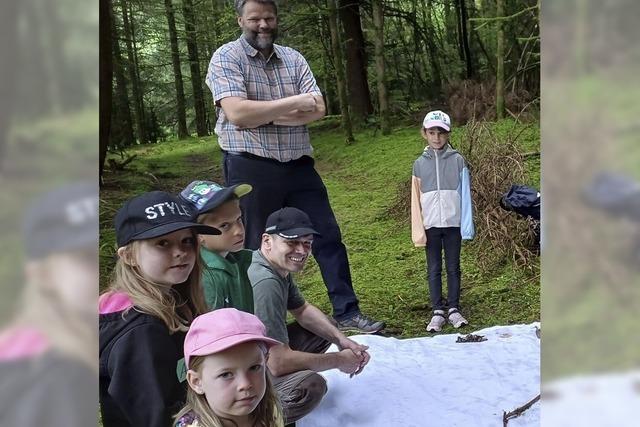 Erkundungstour im Grnen