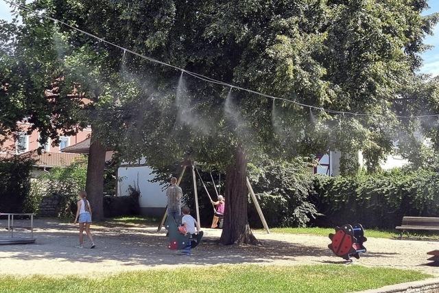 Wassernebel sorgt fr Erfrischung