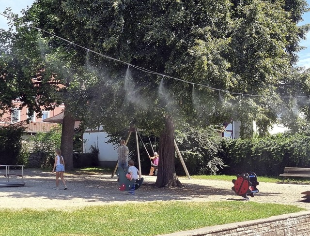 Ein Wasser-Sprhnebelsystem zur Khlun...n Emmendingen am Schlossplatz erprobt.  | Foto: Stadt Emmendingen