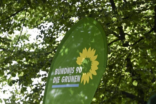 Angriff auf Wahlhelfer der Grnen in Brandenburg