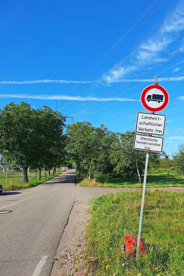 Schrg: Das Lkw-Fahrverbot auf der Ver...riert, von manchen allerdings zurecht.  | Foto: Hannes Selz