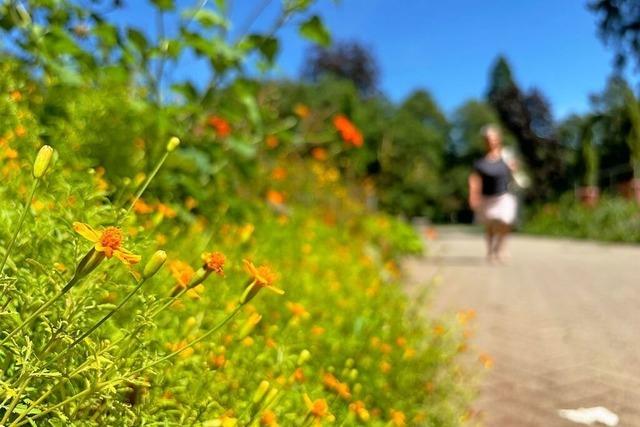 Ein Sommertag in Bad Krozingen: Heilbad mit grner Oase