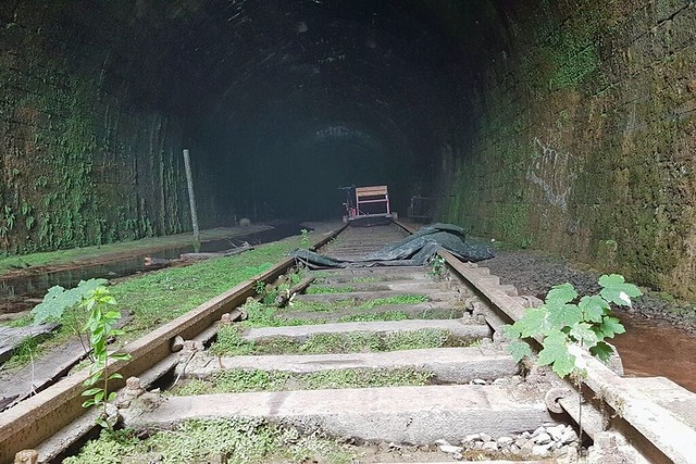 Im Tunnel rosten die Gleise vor sich hin, es steht Wasser am Boden.  | Foto: Gerald Nill