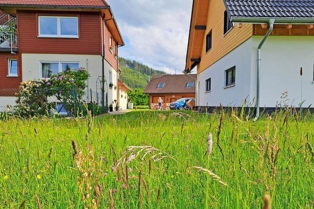 Konfrontation statt Kommunikation: Landwirte in Titisee-Neustadt sind verrgert ber neue Wasserschutzzonen