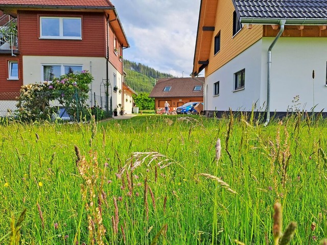 Die neuen Wasserschutzzonengrenzen sol...ebuden in Titisee-Neustadt verlaufen.  | Foto: Verena Pichler