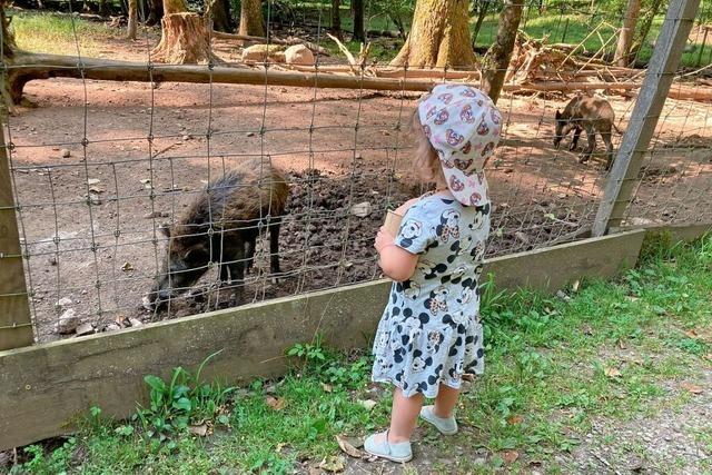 Ein Paradies fr die ganze Familie - das Wildgehege in Bad Sckingen wird 50