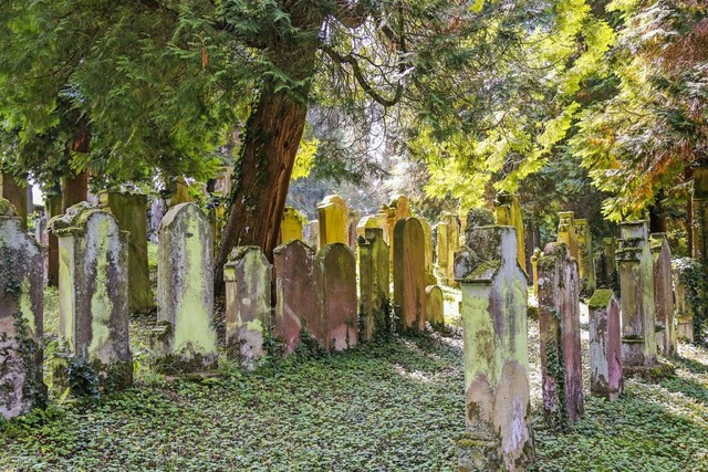 Der jdische Friedhof in Schmieheim is...er Christlich-Jdischen Rundwanderung.  | Foto: Sandra Decoux-Kone