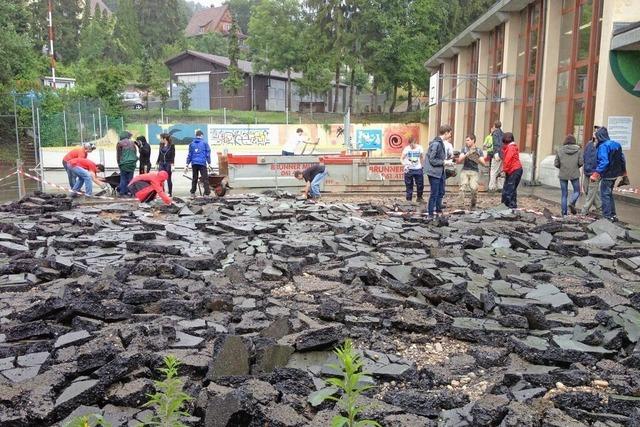 Wie sich der WWF Basel fr mehr Grnflchen statt Beton und Asphalt in der Stadt einsetzt