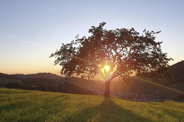 Abendstimmung im Glottertal