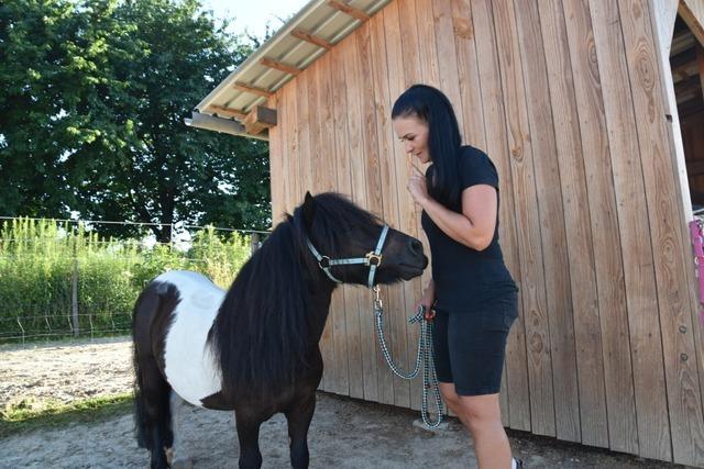 Ponyhof in Eichstetten muss sein Gelnde verlassen – was steckt dahinter?