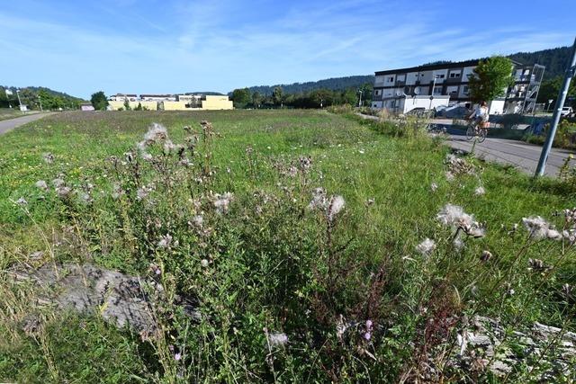 Brgerverein von Freiburg-Littenweiler drngt auf bessere Nutzung der Flche am neuen Tram-Endhalt