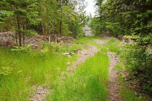 St. Blasien widmete einem langjhrigen Kurgast einst eine Kostbarkeit der Natur