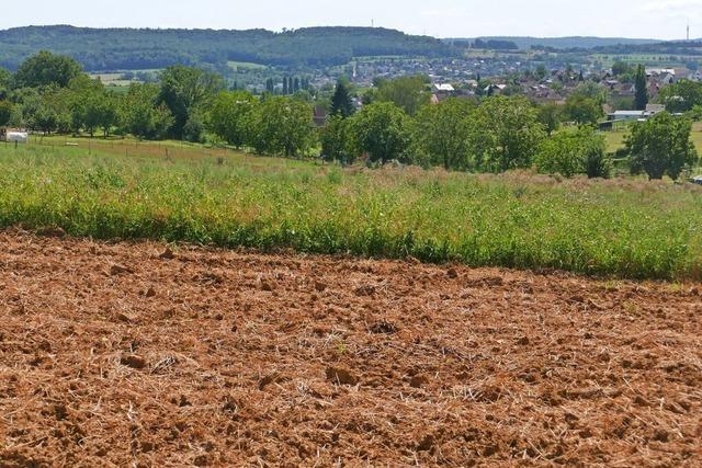 Der Plan fr den Biotopverbund im Vorderen Kandertal steht