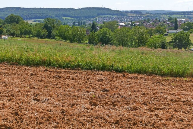 Wie Naturrume in und um Rmmingen her...werden knnen, beschftigt die Brger.  | Foto: Ulrich Senf