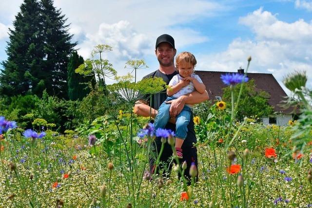 In Gundelfingen wird ein Acker zur Blumenwiese - und es lohnt sich