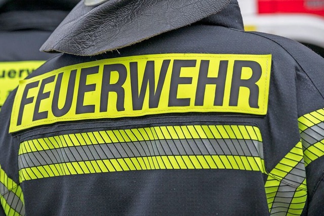 Die Ruster Feuerwehr hatte den Brand schnell unter Kontrolle.  | Foto: Daniel Vogl (dpa)