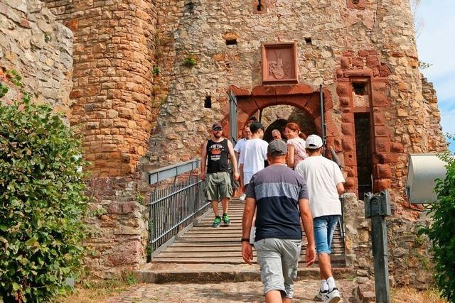 Viele Grnde fhren Gste auf Burg Rtteln in Lrrach