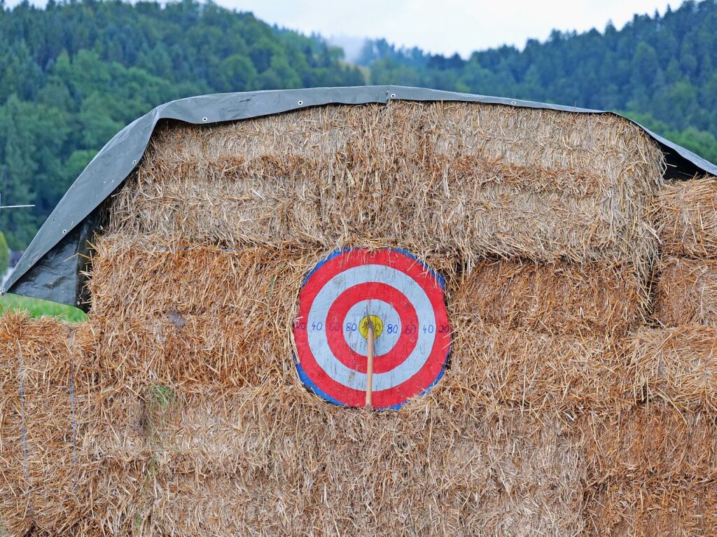 Sieben martialische Disziplinen gibt es in diesem Jahr bei den Highland Games: Baumstammwerfen, Tauziehen, Fasshochwurf, Axtwerfen, Lauf mit Gewichten, Baumstamm-Slalom und Weinfassrollen.