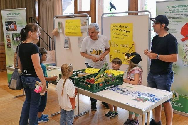 Besucher in Grafenhausen lernen: Zu viel Zucker schlgt Bienen auf den Darm