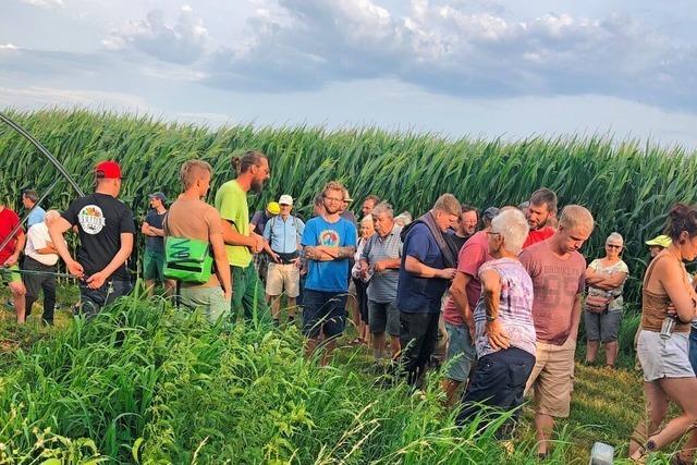 Nsse und Schdlinge: Gemsebauern im Kreis Lrrach tauschen sich ber aktuelle Probleme aus