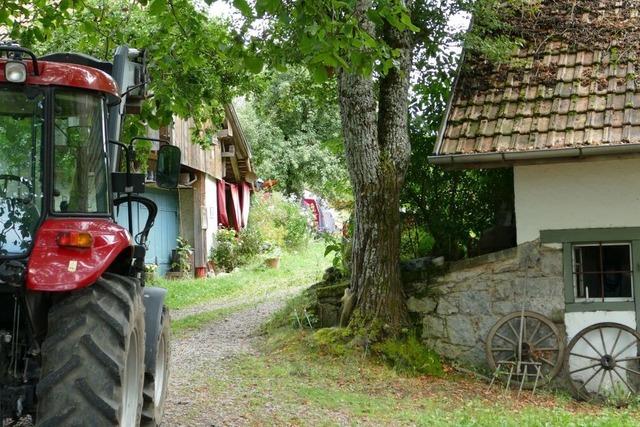 Zelten in fremden Grten: Wie das "Airbnb fr Camping" im Hotzenwald funktioniert