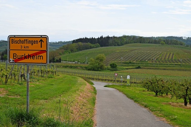 Der Ksleberg zwischen Burkheim und Bi...r Hexen und ihre Teufel gewesen sein.  | Foto: Reinhold John