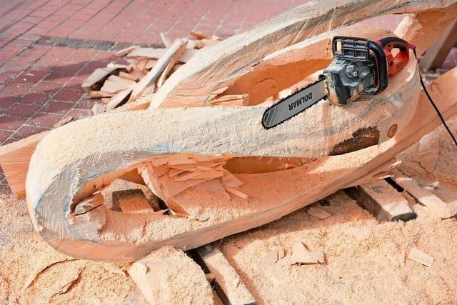 13 Holzskulpturen entstehen bald auf St. Blasiens Straen