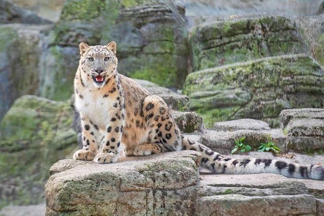 Drei Familien drfen gratis den Zoo Basel erkunden