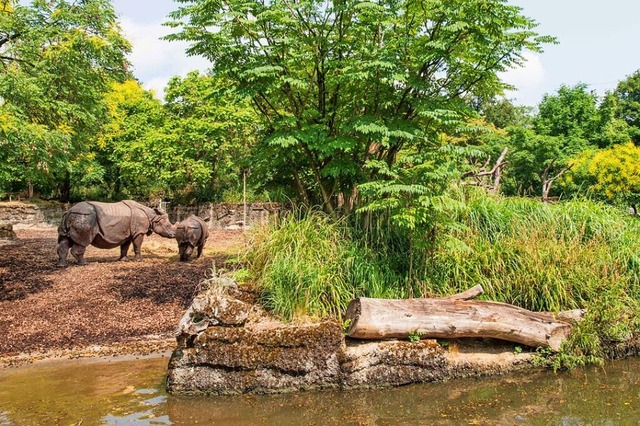 Ein Erlebnis: die Nashornanlage  | Foto: Zoo Basel